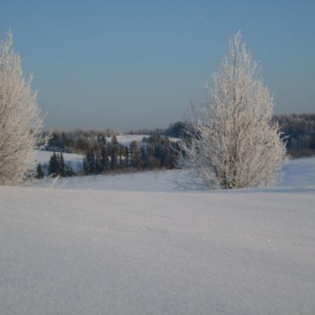 Пейзаж зима
